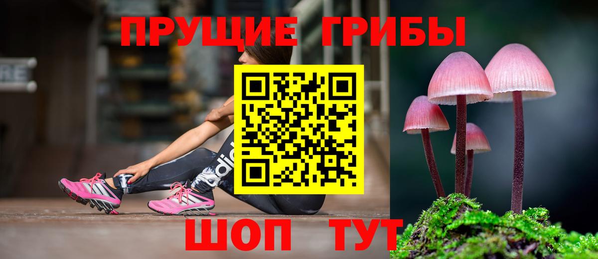 Галлюциногенные грибы Psilocybine cubensis  Вход с VPN  Уссурийск 